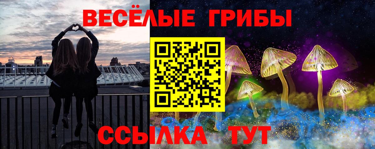 Борзя  Галлюциногенные грибы прущие грибы  Вход с VPN 