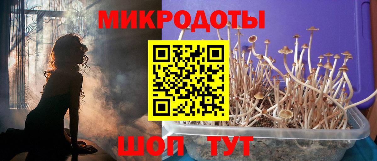 Псилоцибиновые грибы мицелий Борзя